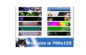 Success Graphics Web Design Package – MRR License